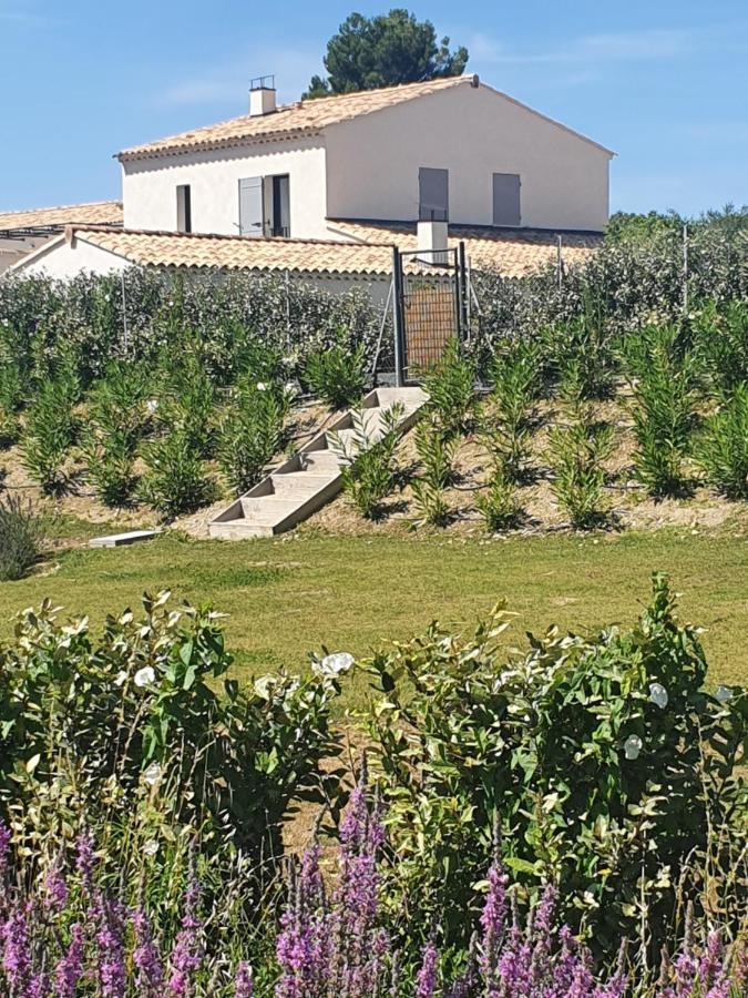 Onze Villa In Provence, Mont Ventoux, New Luxury Villa, Private Pool, Stunning Views, Outdoor Kitchen, Big Green Egg Малокен Экстерьер фото